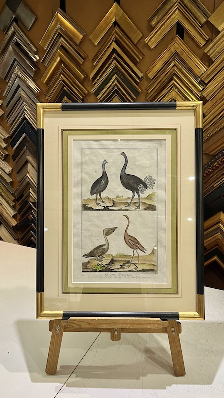 Aves - Histoire Naturelle (Avestruz, Pelicano), Fig. 1. L' Autruche, Fig. 2. Le Casoar, Fig. 3. Le Pelican, Fig. 4. Flamant - Pl. XXX