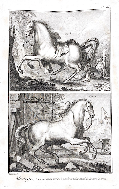 Picadero / Manège - Pl. III La Volte et Pirrouette à Gauche