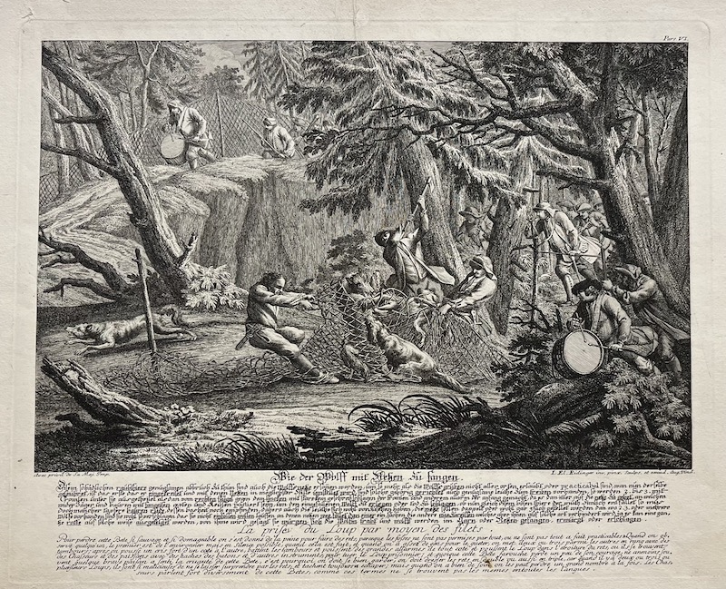 Wie der Wolf mit Netzen zu fangen ; La prise du Loup par moyen des filets [La captura del lobo por medio de redes]