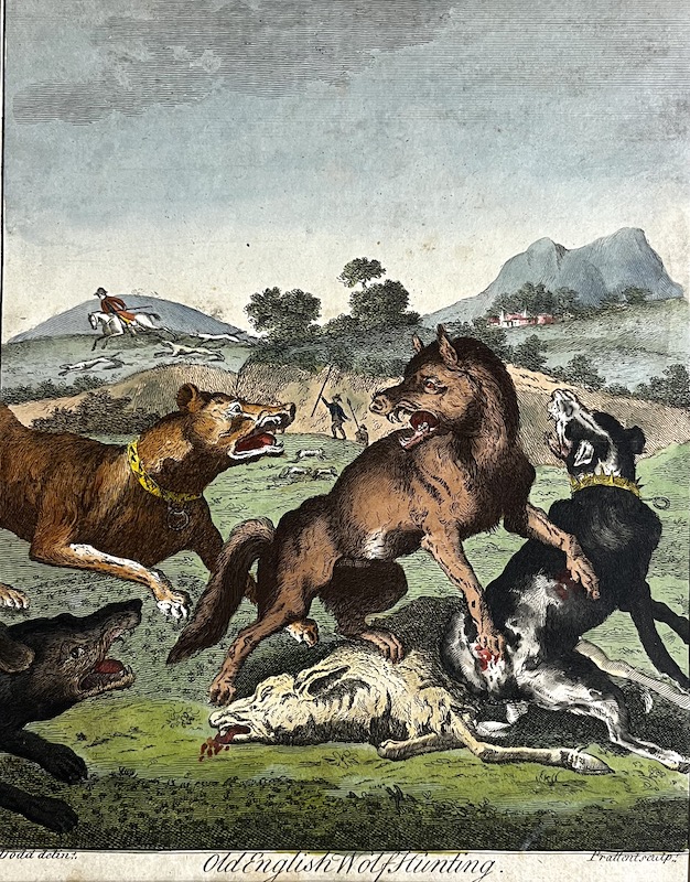 Old British Sporting - Old English Wolf Hunting [Caza del Lobo]