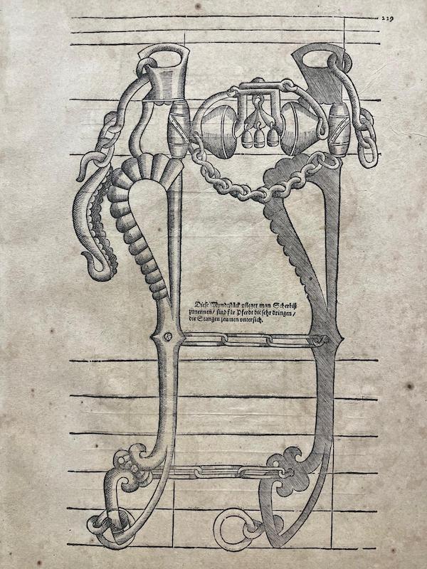 Neu vollkommenes Itinerarium oder Reit-Kunstbuch - 229 (Bocados)