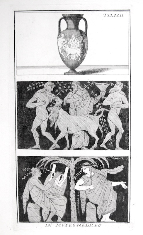 Diseño Etrusco, T. CLXXII