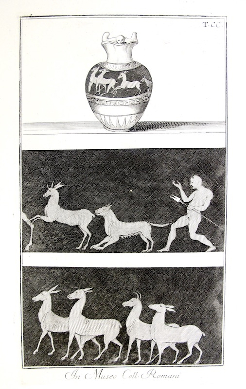 Diseño Etrusco, T. CC