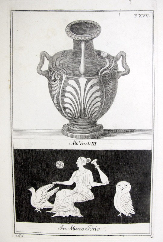 Diseño Etrusco, T. XVII