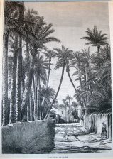 Cercanias de Elche