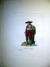 Labrador de Aragon