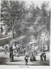 der Rambla (mercado)