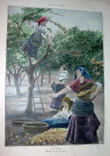 La sidra