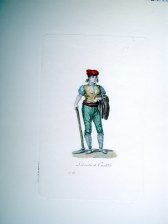 Labrador de Cataluña