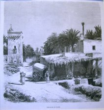 Cercanias de Elche