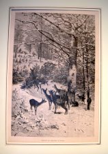 Paisaje Invernal, Ciervos en escucha