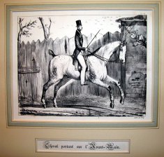 Cheval portant sur l'avant-main