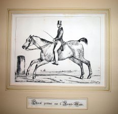 Cheval portant sur l'Avant-Main
