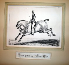 Cheval portant sur l'Avant-Main