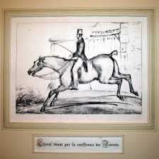 Cheval ruant para la souffrance des Jarrets