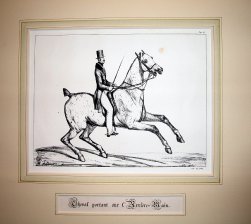 Cheval portant sur l'Arrière-Main