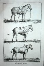 Bourrelier et bourrelier-bastier. Bourrelie, Bastier (arneses / sillas de montar)