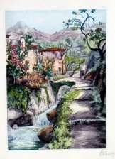 Vista campestre