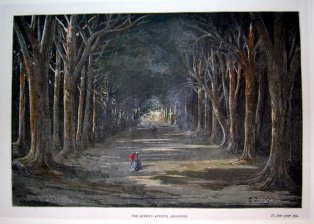 The Queen's avenue, Aranjuez