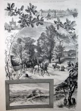 Sitio real del Pardo : La fiesta de san Eugenio : El Palacio real, la puerta de Hierro, la carretera, el monte, cogiendo bellotas