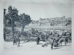 The summer fair in the bed of the Tormes, Salamanca