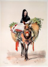 Peasant girl on a mule. Andalusia