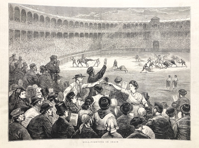 Bull-Fighting in Spain [Corrida de Toros en España]