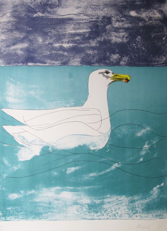 Gull (Gaviota)