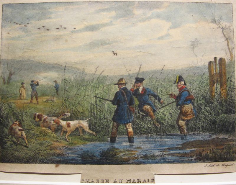 Chasse au Marais / Duck Hunting / Caza del Pato
