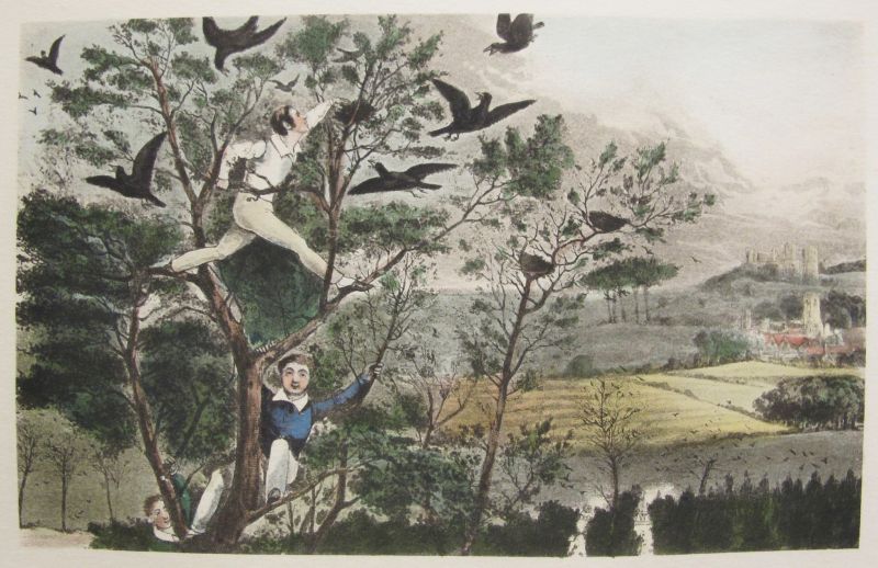Hunting and Sporting Scenes 1 / Escenas de Caza y Deportes 1