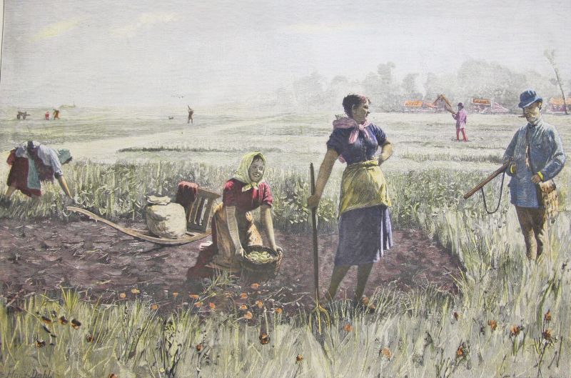 CAZADEROS, cuadro por Hans Dahl