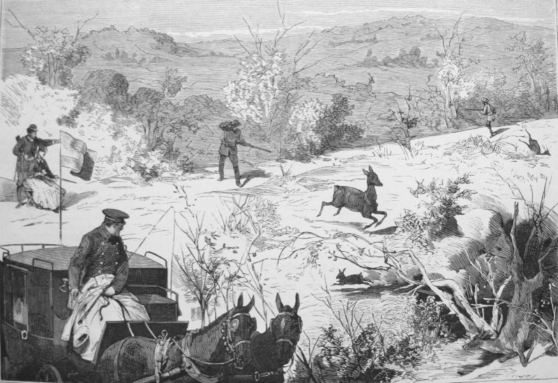 Una Expedición a los Llanos