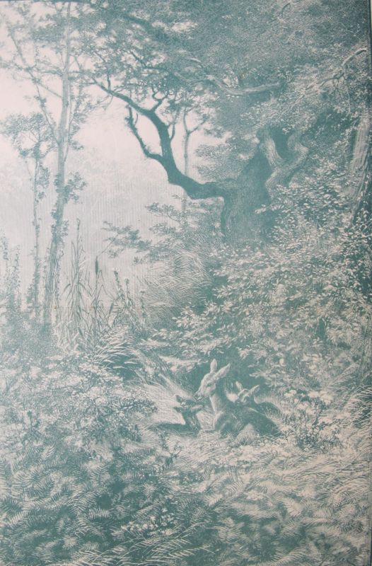Armonías de la Naturaleza, por Pahissa