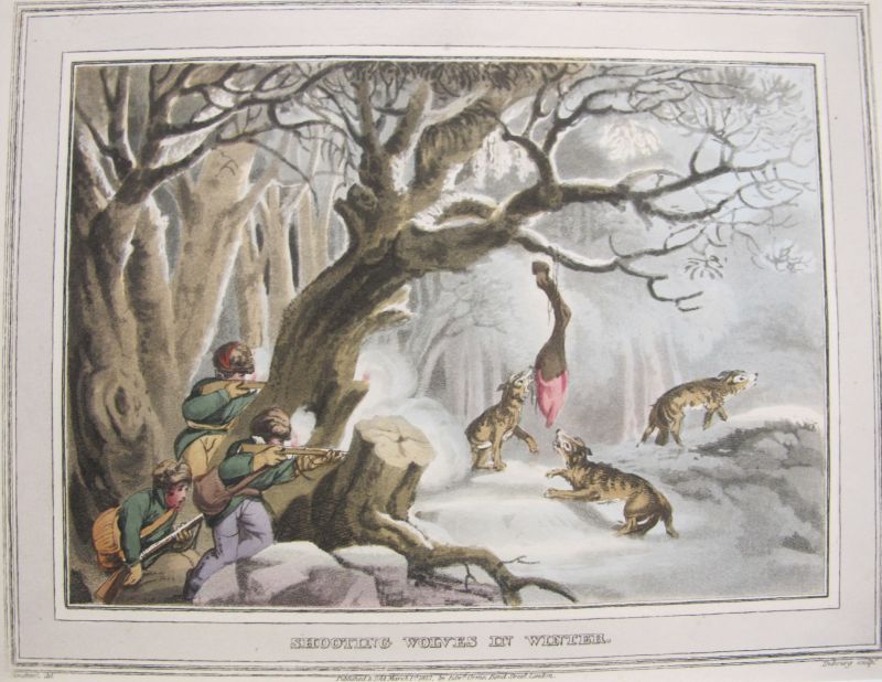 Shoothing Wolves in Winter / Disparando Lobos en Invierno