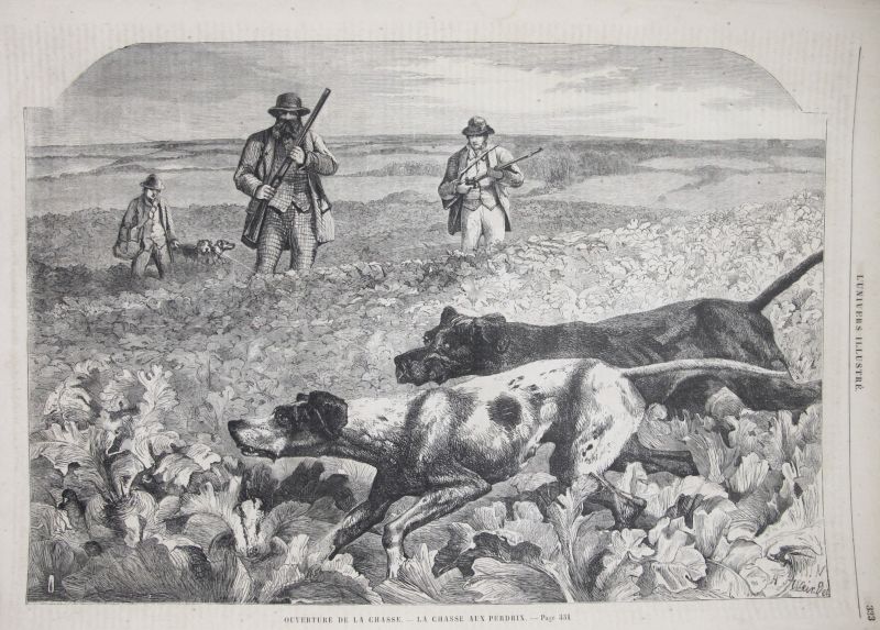 Ouverture de la Chasse - La Chasse aux Perdrix / Apertura de la Caza - La Caza de la Perdiz