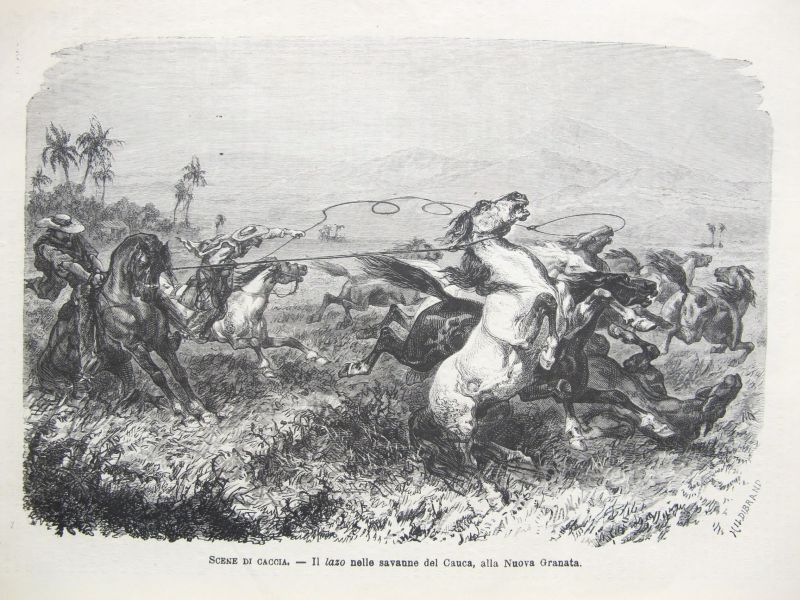 Scene di Caccia - Il Lazo nelle savanne del Cauca, alla Nuova Granata / Escena de caza - El Lazo en la Sabana del Cauca, en la Nueva Granada