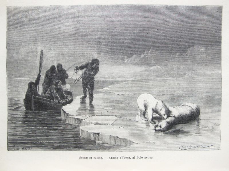 Scene di Caccia - Caccia all'orso, al Polo artico / Escena de caza - Caza del Oso, en el Polo Ártico