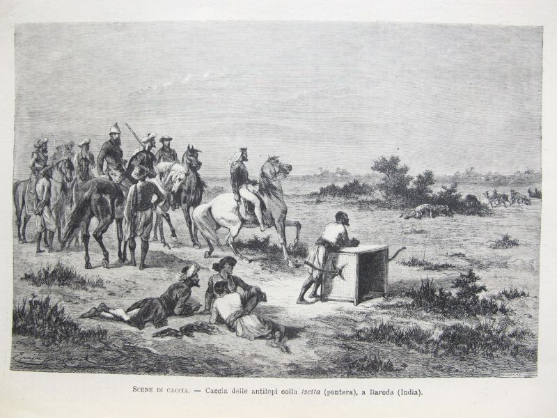 Scene di Caccia - Caccia delle Antilopi colla Tscita (Pantera), a Baroda (India) / Caza del Antilope con Pantera, en la India
