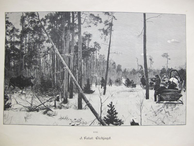 Elchjagd / Caza de Alces