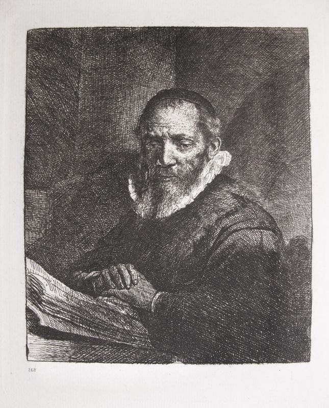 Retrato XIV