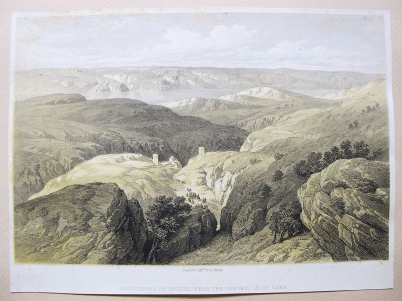 Wilderness of Engedi, near the Convent of St. Saba (Oasis de Ein Guedi, Israel)