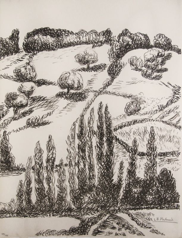 Desde mi Rincón - I