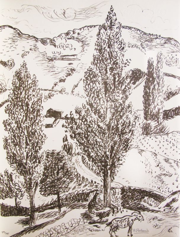 Desde mi Rincón - VII