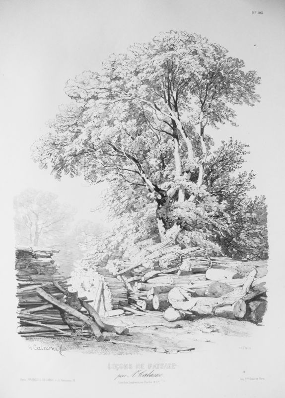 Leçons de Paysage II