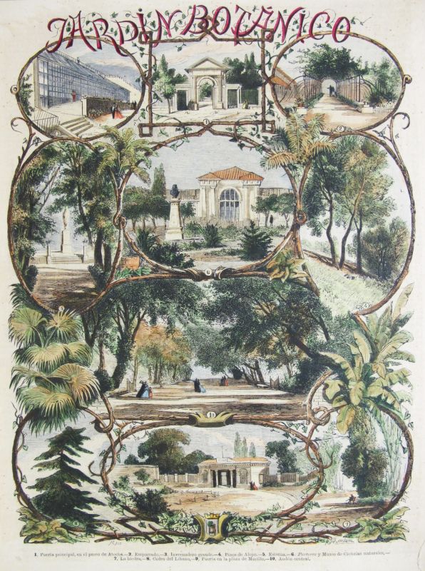 Jardín Botánico