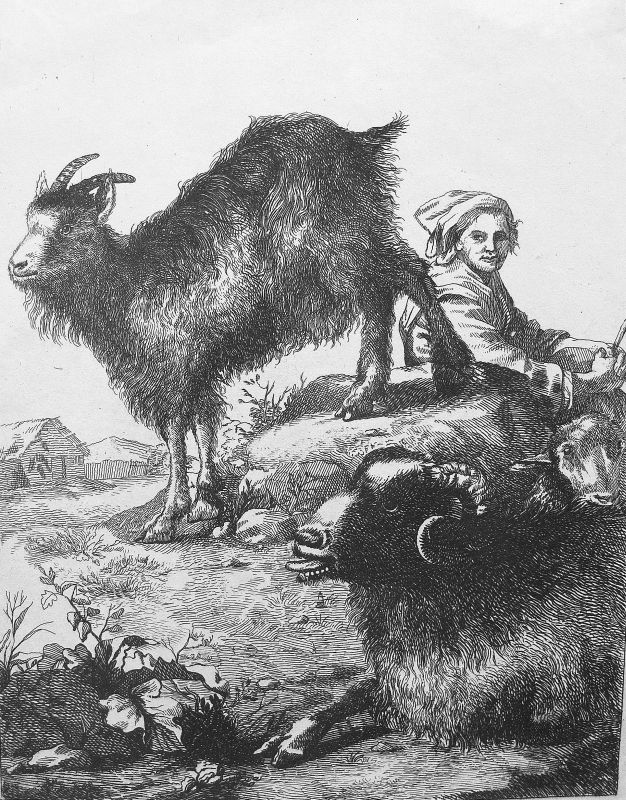 Serie de Ganadería - cabras, s/n 3 (Reestampación, s. XIX)