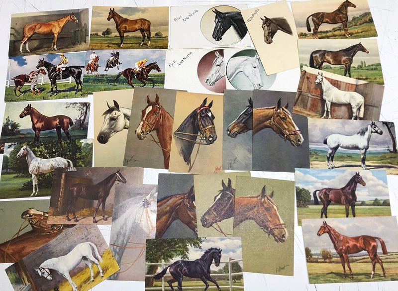 Colección de Postales Ecuestres (x29)