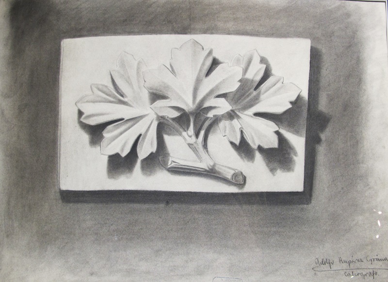 Relieve de Hojas