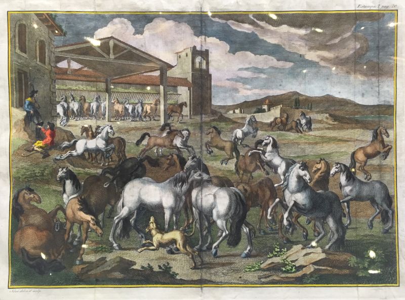 Doma - Estampa 2, Pag. 20