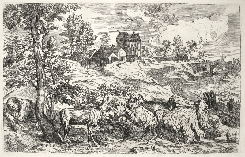 Paisaje con ovejas